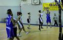 Basket 242076